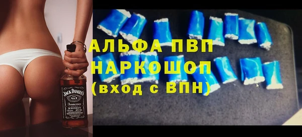 индика Богданович