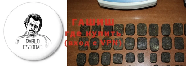 индика Богданович