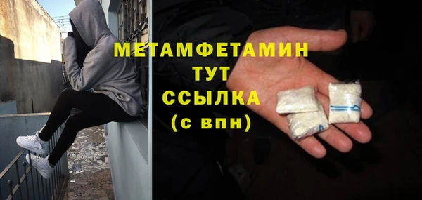 индика Богданович