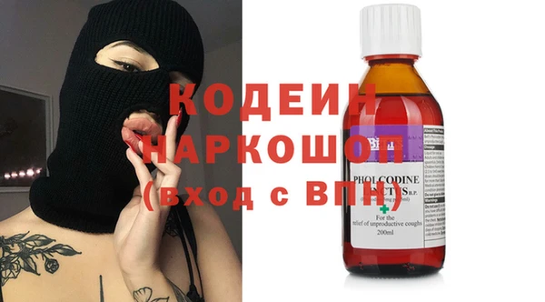 индика Богданович