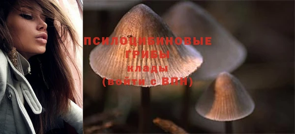 индика Богданович