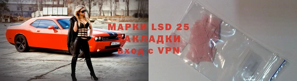 индика Богданович
