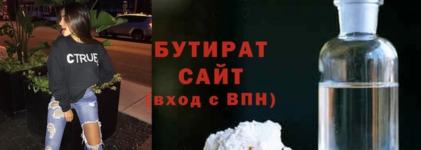 индика Богданович