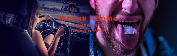 индика Богданович