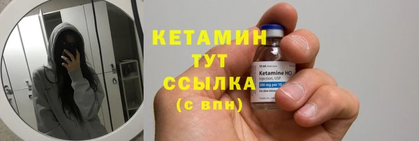 индика Богданович
