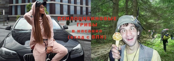 спиды Богородск