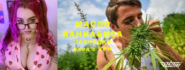индика Богданович