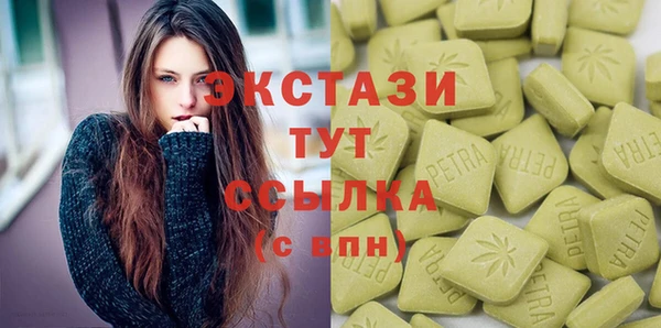 индика Богданович