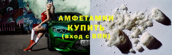 индика Богданович