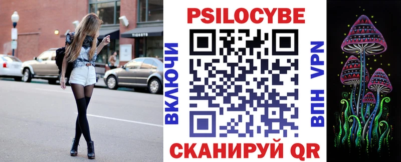 Псилоцибиновые грибы Psilocybe  Купить где  Болгар 