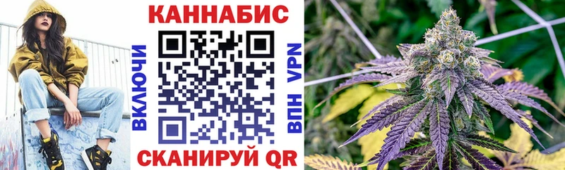 Купить закладки  Болгар  Бошки Шишки семена 